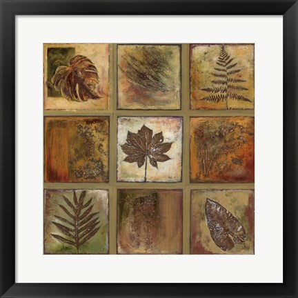 Framed Leaf Square I Print