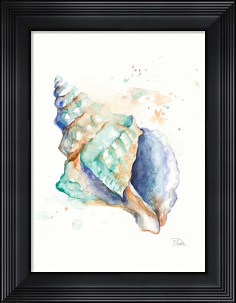 Framed Blue Shell Print