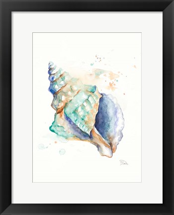 Framed Blue Shell Print