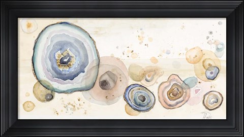 Framed Agates Flying Watercolor Print