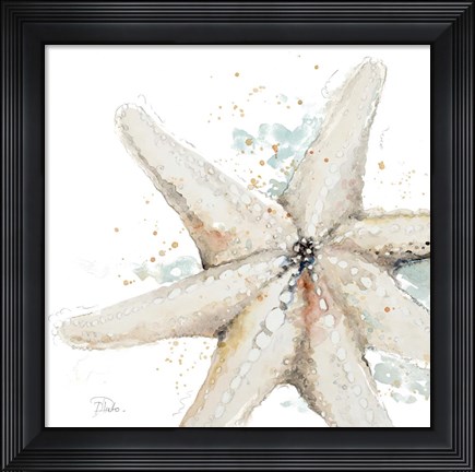 Framed Water Starfish Print