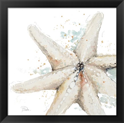 Framed Water Starfish Print