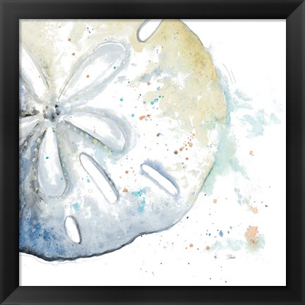 Framed Water Sand Dollar Print