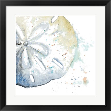 Framed Water Sand Dollar Print