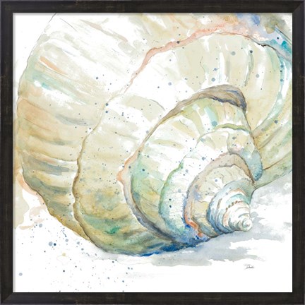 Framed Water Conch Print