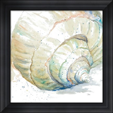 Framed Water Conch Print