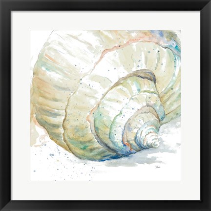 Framed Water Conch Print