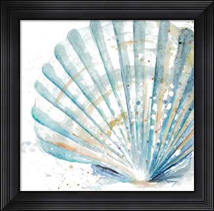 Framed Water Shell Print