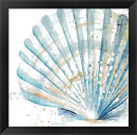 Framed Water Shell Print