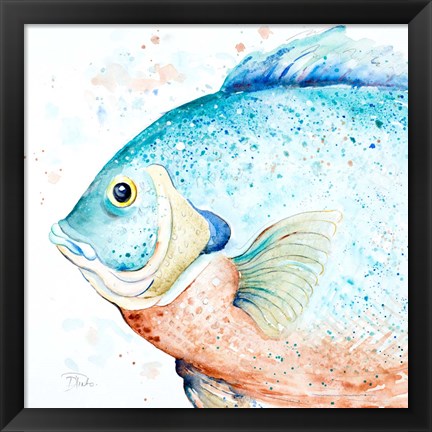 Framed Water Fish Print