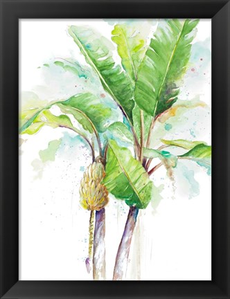 Framed Watercolor Banana Plantain Print