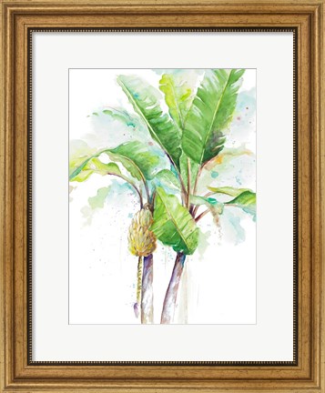 Framed Watercolor Banana Plantain Print
