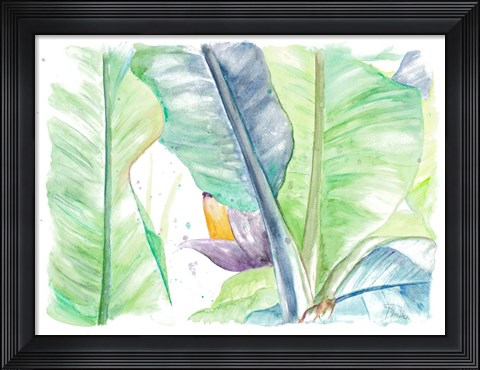 Framed Fresh Banana Plantain Print