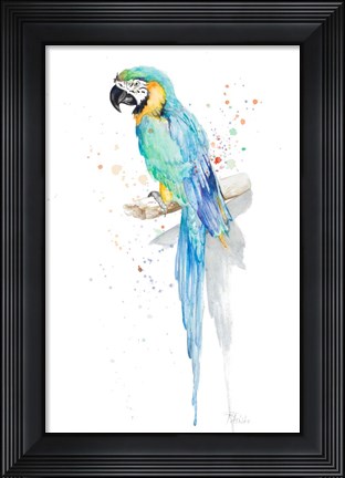 Framed Watercolor Parrot Print