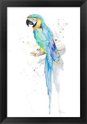 Framed Watercolor Parrot Print