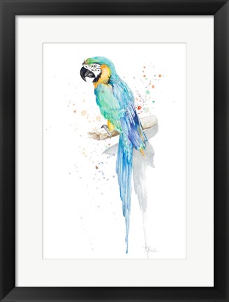 Framed Watercolor Parrot Print