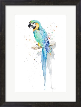 Framed Watercolor Parrot Print