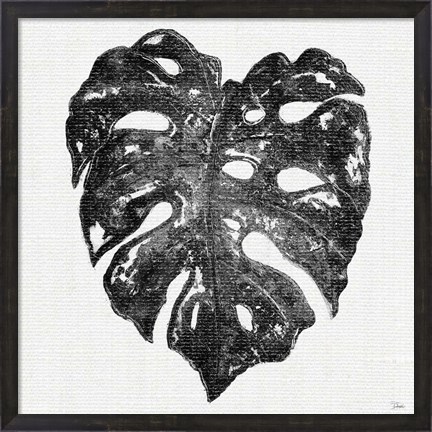 Framed Dark Leaf Palm II Print
