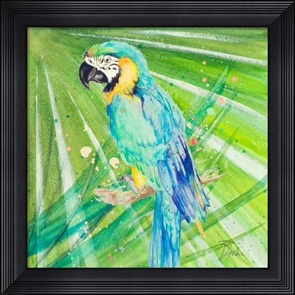 Framed Colorful Parrot Print
