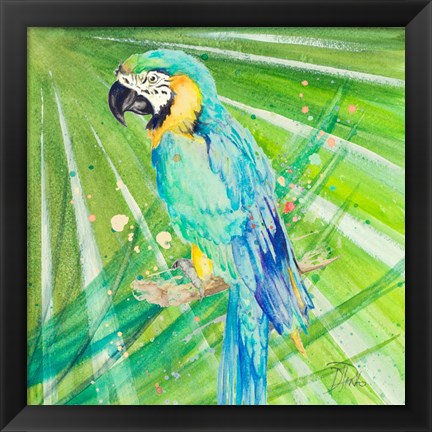 Framed Colorful Parrot Print