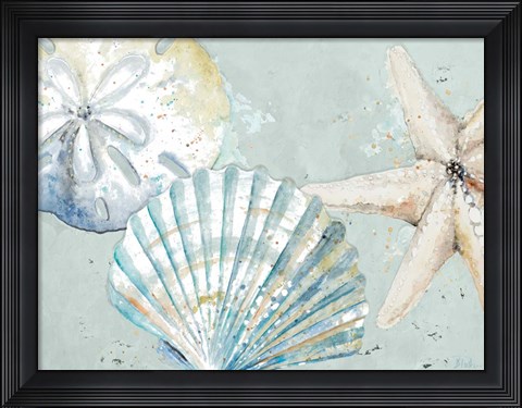 Framed Beach Shells Print