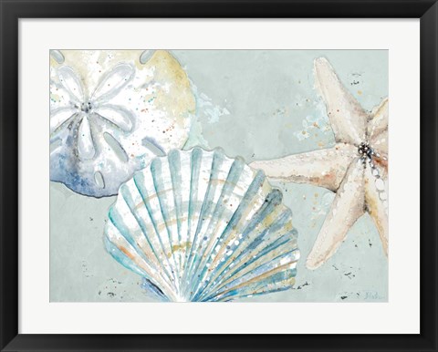 Framed Beach Shells Print