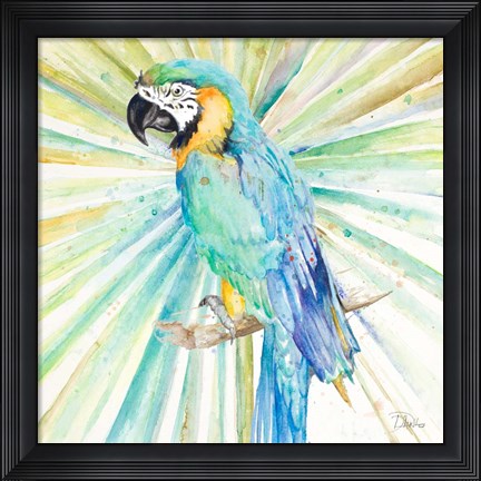 Framed Bright Tropical Parrot Print