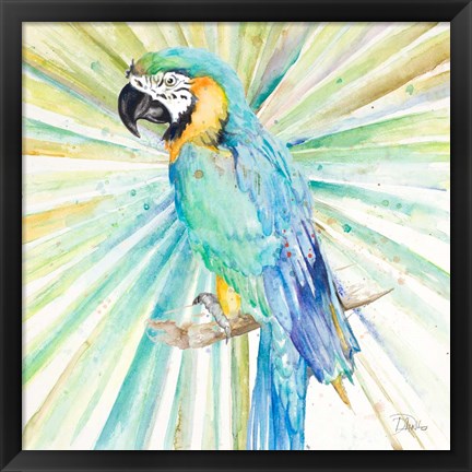 Framed Bright Tropical Parrot Print