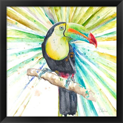 Framed Bright Tropical Toucan Print
