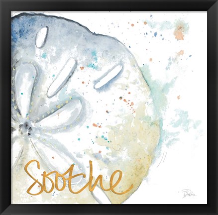 Framed Soothe Water Sand Dollar Print