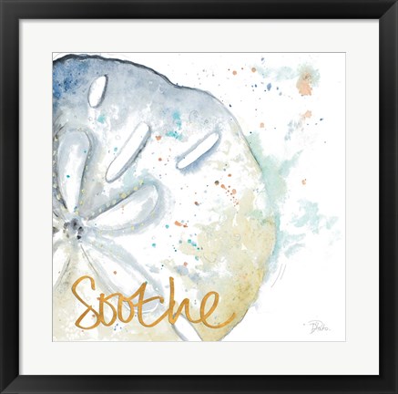 Framed Soothe Water Sand Dollar Print