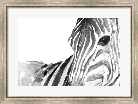 Framed Zebra Gaze Print