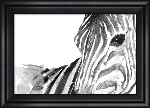 Framed Zebra Gaze Print