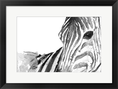 Framed Zebra Gaze Print