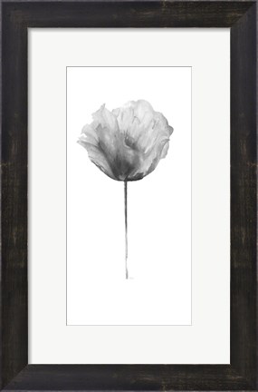 Framed Flower in Gray Panel II Print