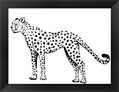 Framed Cheetah Print