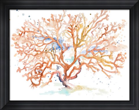 Framed Peach Coral Print