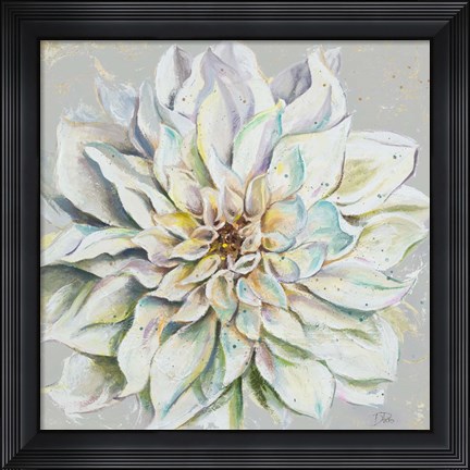 Framed Grey Dahlias II Print