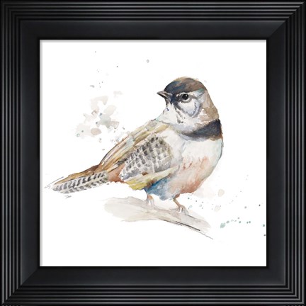 Framed Watercolor Mountain Bird III Print