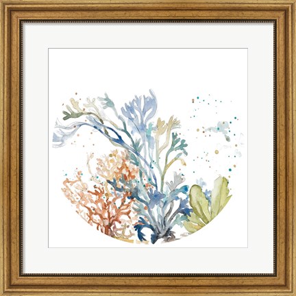 Framed Under the Sea Plants Round Print