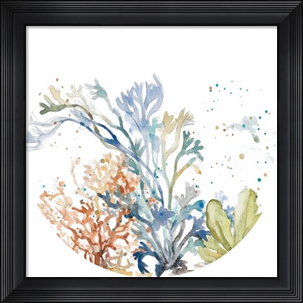 Framed Under the Sea Plants Circle Print