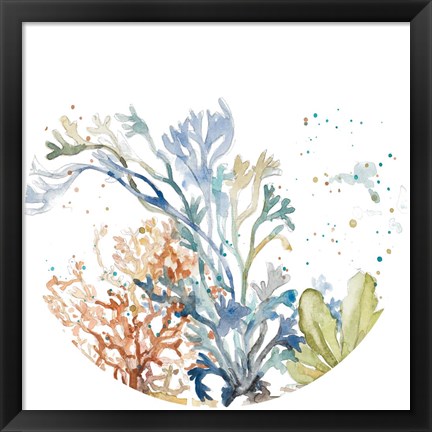 Framed Under the Sea Plants Circle Print