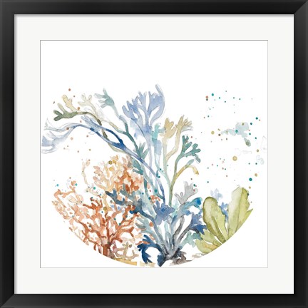 Framed Under the Sea Plants Circle Print