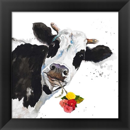 Framed Crazy Cow Print