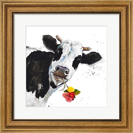 Framed Crazy Cow Print