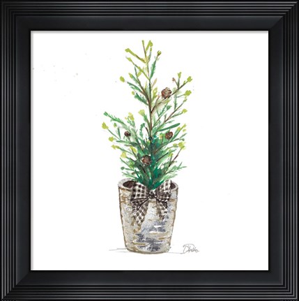 Framed Christmas Fir II Print