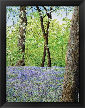 Framed Blue Bells Print