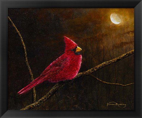 Framed Cardinal In The Moonlight Print