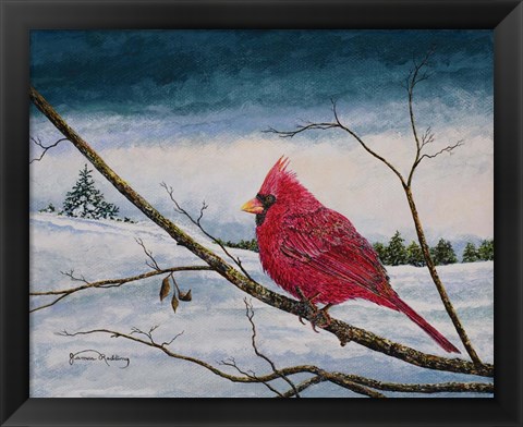 Framed Cardinal In A Pastel Sky Print