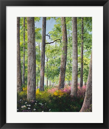 Framed Enchanted Forest Print